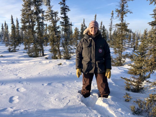 Allicia Dec 2021 mortality site